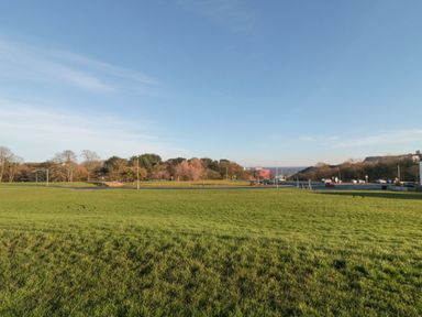A grassy field with trees and a road with parked cars under a blue sky at Weydale Avenue in Scarborough