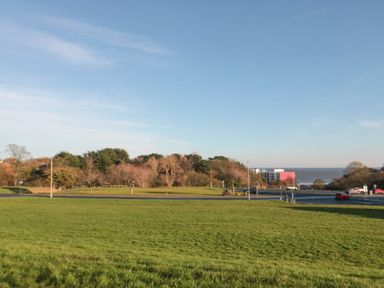 A grassy field with trees and a road with cars near buildings and the sea at Weydale Avenue in Scarborough