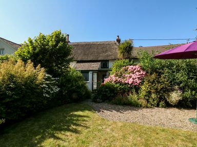 A garden with flowers and shrubs in front of a thatched cottage with a purple umbrella at Bell Buoy Cottage in Morwenstow