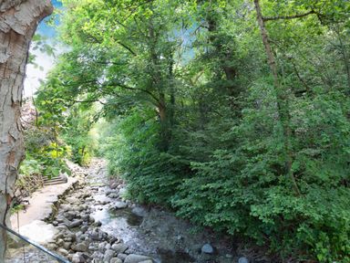 A small rocky stream running through a forest with dense green trees and a pathway with a bench beside it at Nant Cottage in Rowen