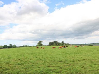 A field with grazing cows under a cloudy sky at Gwel Y Fenai in Y Felinheli