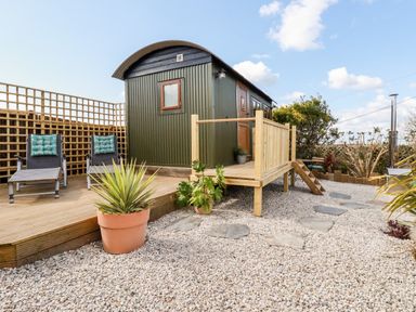 A small cabin with a wooden deck surrounded by gravel and potted plants at Badgers Rest in Tintagel