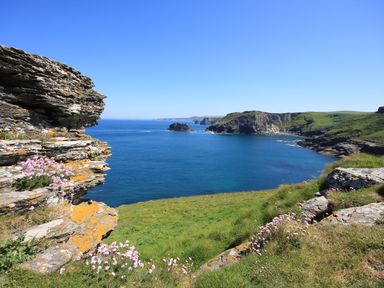 A coastal landscape with rocky cliffs green grass and pink flowers overlooking a blue sea at Badgers Rest in Tintagel
