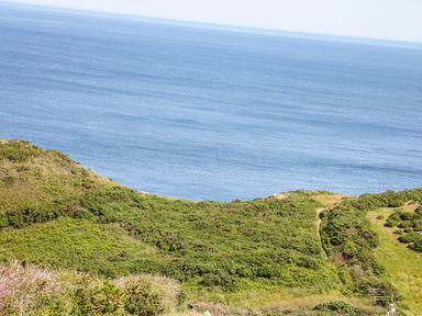 A coastal landscape with green vegetation and a view of the ocean at Badgers Rest in Tintagel