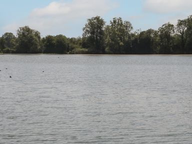 A lake with water and trees in the background at The Goodwood Lodge in Runcton near Chichester