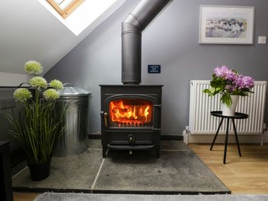 A black wood burning stove with fire inside a room with a skylight and a painting on the wall at The Coach House in Ludlow