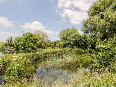 A pond with vegetation and a duck house surrounded by trees at Oak Lodge At Bridge Lake Farm Fishery in Chacombe