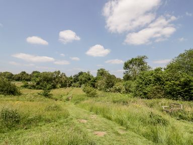 A grassy path through a field with bushes trees and a wooden bench at Oak Lodge At Bridge Lake Farm & Fishery in Chacombe