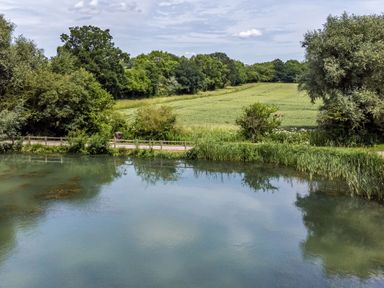 A pond with trees and grass surrounding it at Oak Lodge At Bridge Lake Farm Fishery in Chacombe