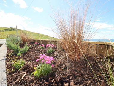 A garden bed with pink flowers and ornamental grasses near a wooden border with a view of grassy hills and sky at Sandpiper Chalet in Eype