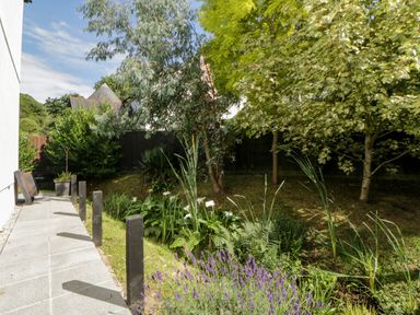 A garden with trees and plants along a paved pathway at Iroko in Millbrook