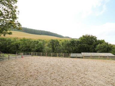An outdoor riding arena with wooden fencing surrounded by trees and hills at Caban Glas in Llanafan near Pontrhydfendigaid