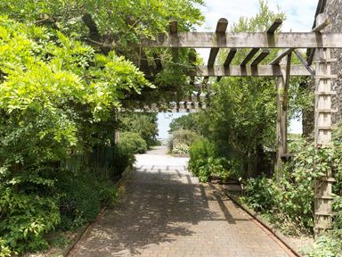 A garden pathway with a wooden pergola covered in green foliage at Honey Bee Cottage in Bradworthy
