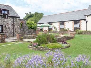 A garden with flowering plants umbrellas and stone buildings at Honey Bee Cottage in Bradworthy