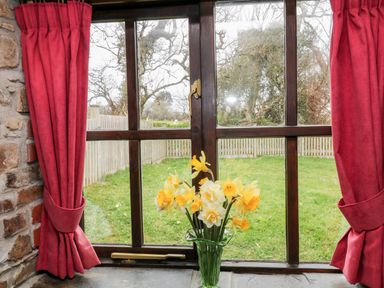 A window with pink curtains and a vase of yellow and white flowers on the windowsill overlooking a garden with a wooden fence and trees at Wagtail in Bradworthy near Bude