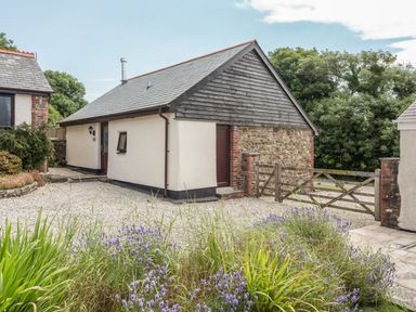 A small detached house with a gravel driveway and a wooden gate surrounded by greenery and flowers at Jenny Wren in Bradworthy