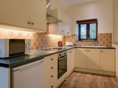 A kitchen with white cabinets a microwave oven electric stovetop toaster kettle and a window at Jenny Wren in Bradworthy