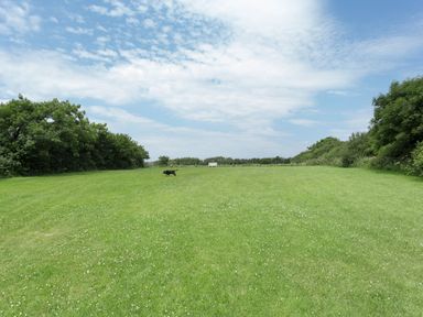 A large green field with a black dog walking and a bench at the far end surrounded by trees at Jenny Wren in Bradworthy