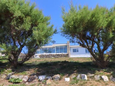 A white building with large windows and a stone wall in front framed by two trees on a grassy slope at Boscregan in Porthleven