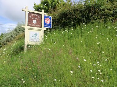 A sign for Lovesome Hill Farm Bed and Breakfast surrounded by tall grass and wildflowers at Lovesome Pod in Lovesome Hill near Northallerton