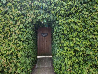 A wooden door surrounded by thick green foliage with a sign reading Lovesome Pod at Lovesome Hill near Northallerton