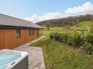 A wooden building next to a hot tub and a paved patio with green hills and bushes in the background at Pool View in Meifod Powys