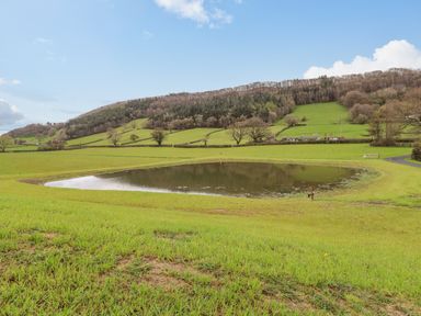 A pond surrounded by grass fields with trees and hills in the background at Pool View in Meifod Powys
