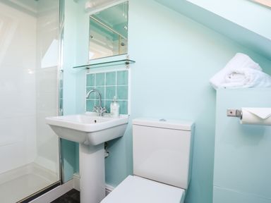A bathroom with a sink mirror toilet shower and towels at Plas Newydd in Llanfaelog near Rhosneigr