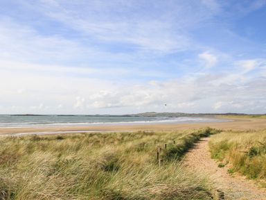 A sandy path through grass leading to a beach with ocean and cloudy sky at Plas Newydd in Llanfaelog near Rhosneigr