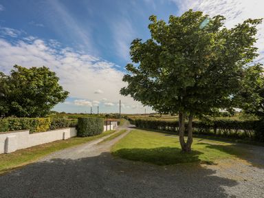 A gravel driveway with a tree on a grassy patch and hedges on the side at Plas Newydd in Llanfaelog near Rhosneigr