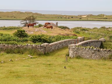A stone bridge over grassland with horses on a hill next to water at Plas Newydd in Llanfaelog near Rhosneigr