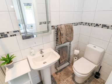 A bathroom with a sink a toilet towels on a heated rack and a plant on a small white table at Garth in Pen-y-bryn near Cardigan