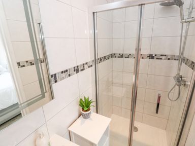 A bathroom shower area with glass doors a small white cabinet with a potted plant and tiled walls at Garth in Pen-y-bryn near Cardigan