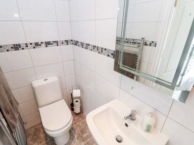 A small bathroom with a toilet, sink, wall mirror, and towel rail at Garth in Pen-y-bryn near Cardigan