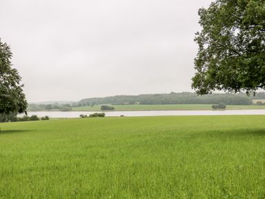 A green grassy field with trees on the sides and a body of water in the background at The Lazy Mare by The Water in Admaston near Abbots Bromley