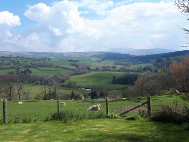 A green field with sheep and rolling hills under a partly cloudy sky at Ty Twmp Tump Cottage in Tal-Y-Bont-On-Usk
