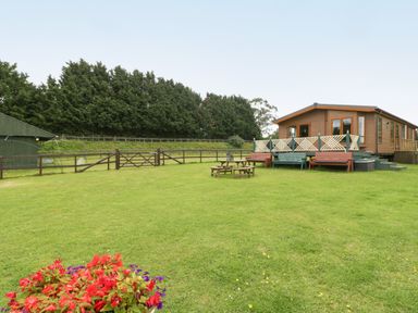 A green lawn with picnic tables and benches near a wooden lodge surrounded by trees at Hill View Lilac Lodge in Wareham