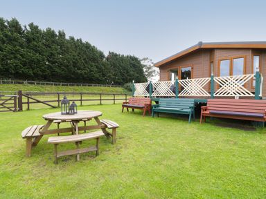 An outdoor seating area with wooden benches and a picnic table on grass near a cabin with a fenced yard at Hill View Lilac Lodge in Wareham