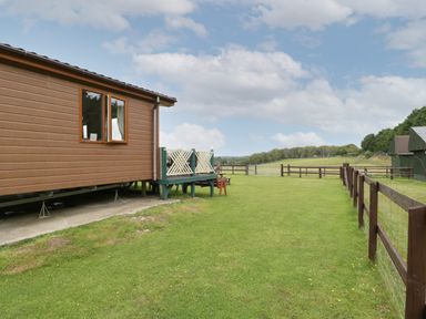 A side view of a brown wooden cabin with a small porch and green railings next to a fenced grassy field with trees in the distance at Hill View Lilac Lodge in Wareham