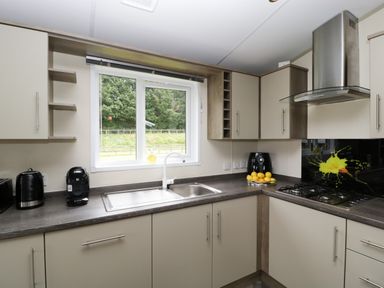 A kitchen with beige cabinets a stainless steel sink and stove a kettle coffee machine and lemons on the counter at Hill View Lilac Lodge in Wareham