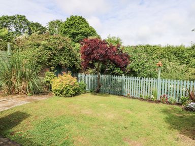 A garden with a green lawn red-leafed tree green bushes and a pale blue wooden fence at Silva in Penmon