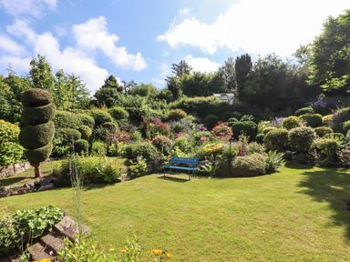 A garden with various shrubs flowers and a blue bench at The Poppy Fields Abode in Dyserth