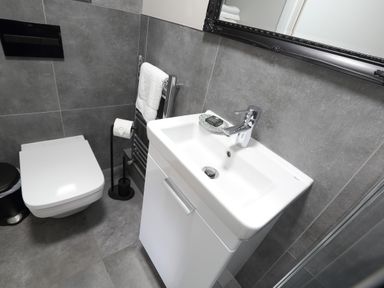 A bathroom with a white sink and cabinet toilet and towel rack at The Poppy Fields Abode in Dyserth