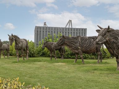 Outdoor wooden sculptures of horses and a cow on grass near a wooden fence and bushes at 14 Fairways in Burnham-On-Sea