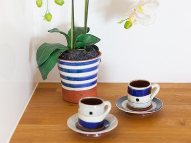 A potted plant with white flowers and two striped cups on saucers on a wooden surface at Crystal Bay in St Ives
