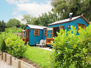 Two blue wooden cabins with open doors and windows with wooden frames surrounded by green bushes and trees at Little Silver Pheasant in High Bickington