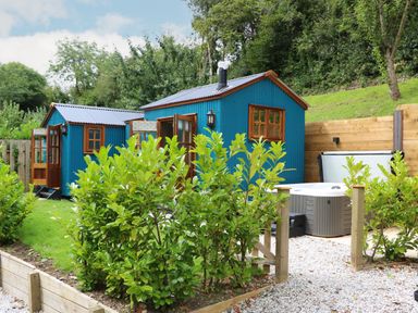 A blue garden shed with wooden trim near a hot tub and green shrubs at Little Silver Pheasant in High Bickington
