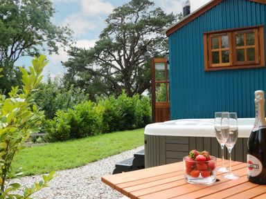 A hot tub in a garden area with a table holding strawberries glasses and a bottle near a blue building at Little Silver Pheasant in High Bickington