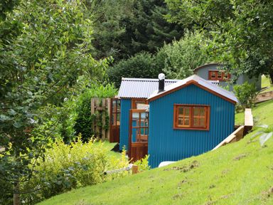 A blue small house with wooden windows and doors in a green garden with trees at Little Silver Pheasant in High Bickington
