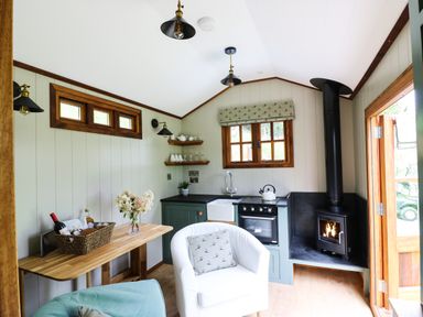A small kitchen area with green cabinets a sink stove and wood burning stove a wooden table with a basket of drinks and flowers and two armchairs at Little Silver Pheasant in High Bickington